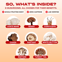 Focus 8 Mushroom Complex