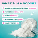 Collagen Peptides Powder