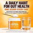 Prebiotic Fiber Boost